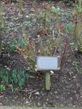 image of grave number 697159